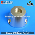 Excellent Design Magnet with special shaped for sale